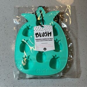 3/$25 NEW NIP BLUSH Teal Silicone PINEAPPLE 🍍 Shaped Ice Mold Tray